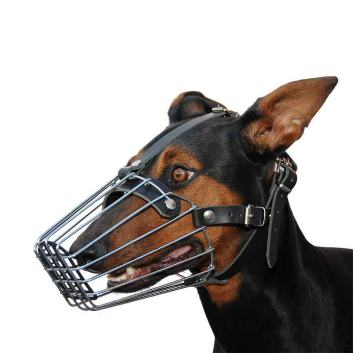 Muzzle metal - Dingo