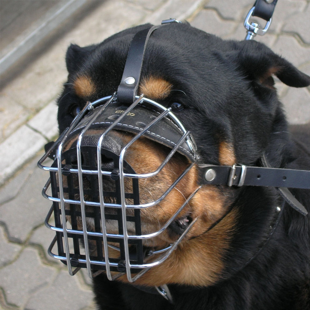 Muzzle metal - Dingo