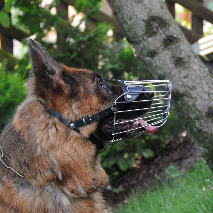 Muzzle metal - Dingo