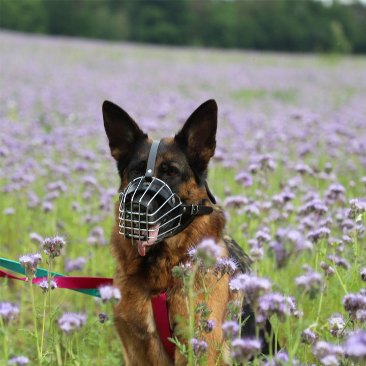 Muzzle metal - Dingo