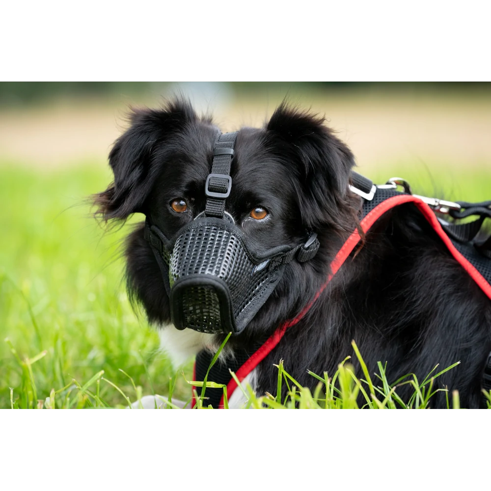 Profi Muzzle