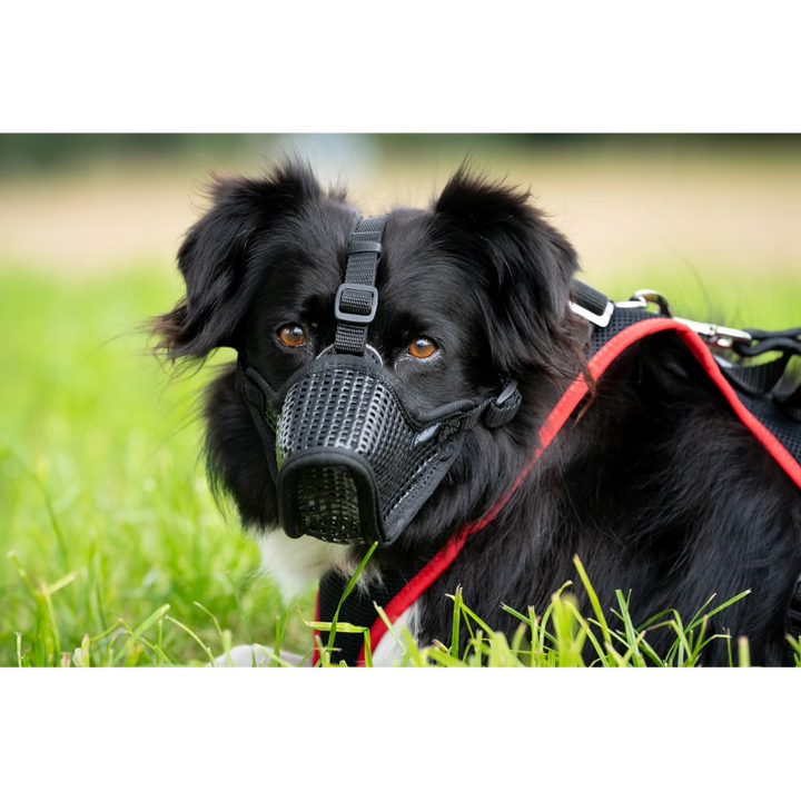 Profi Muzzle