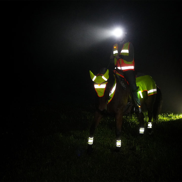 BeatLEDz Headlamp NG1+