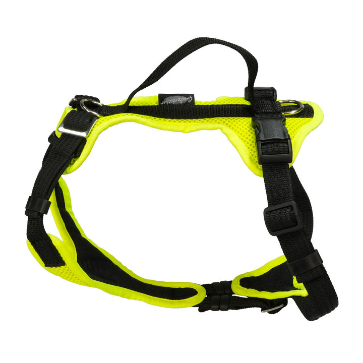 Puppy harness Popp-It solid color