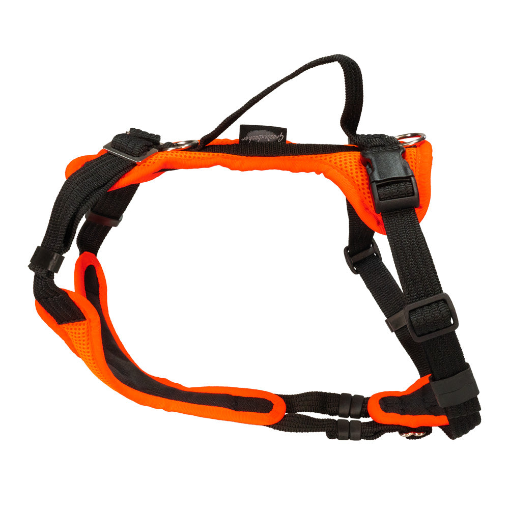 Puppy harness Popp-It solid color