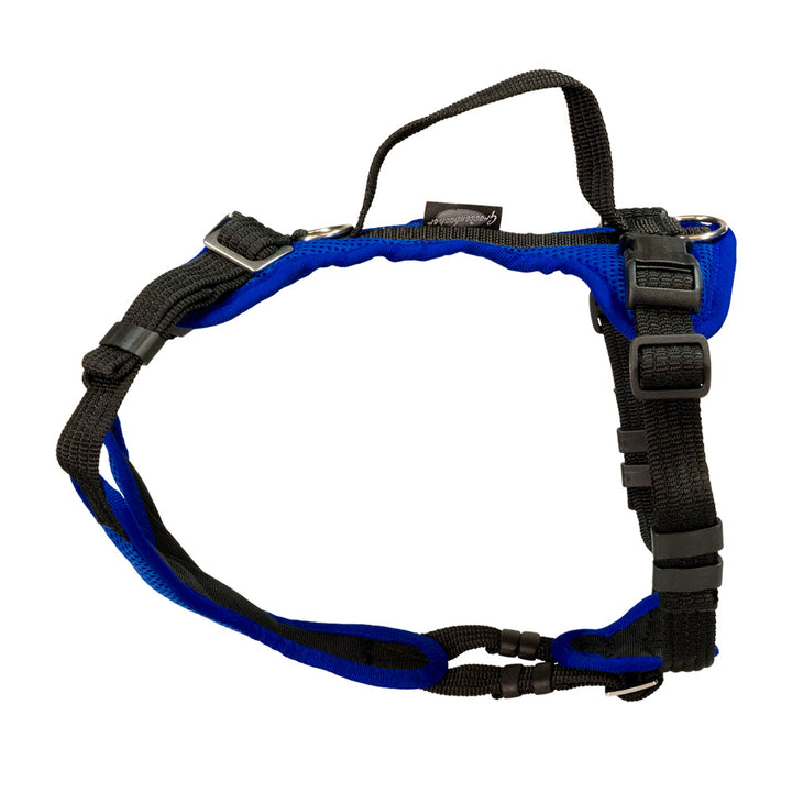 Puppy harness Popp-It solid color