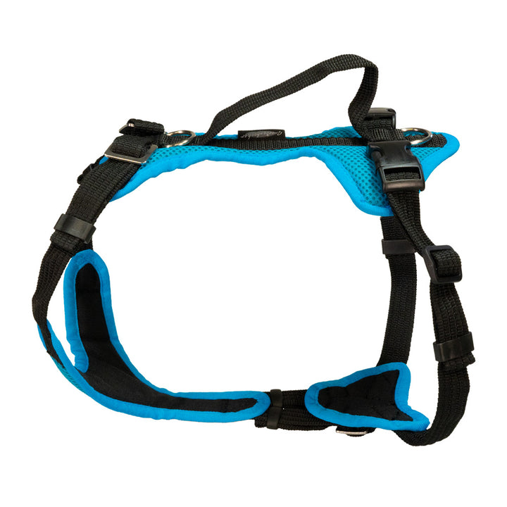Puppy harness Popp-It solid color