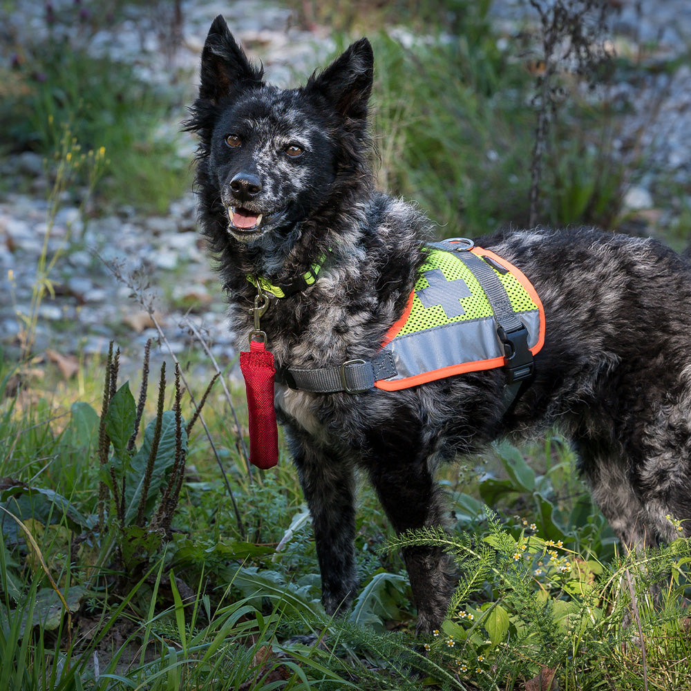 Chicco Sanitary Bringsel