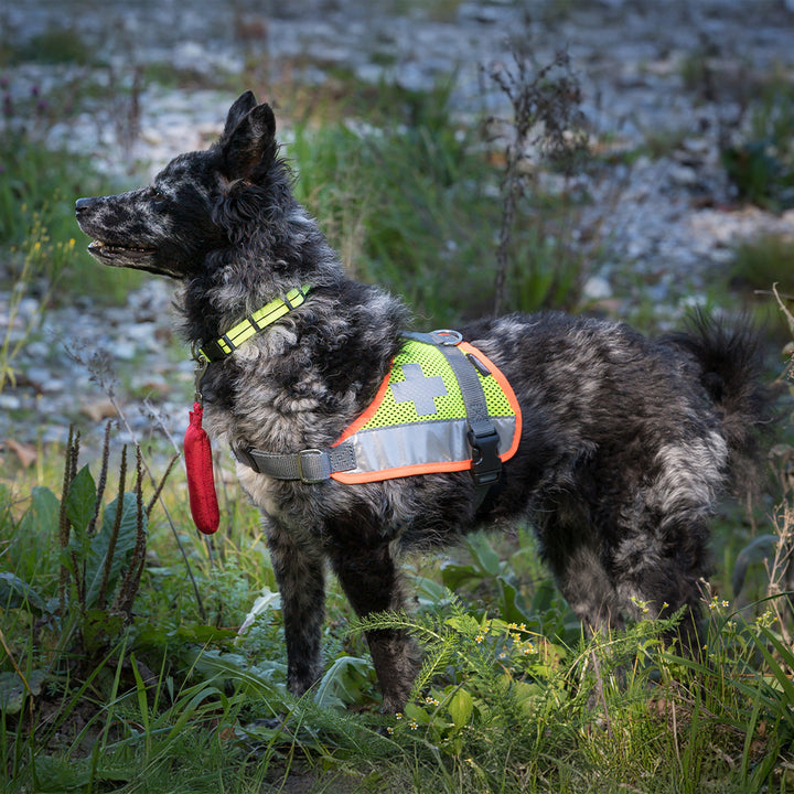 Sanitary blanket Gina