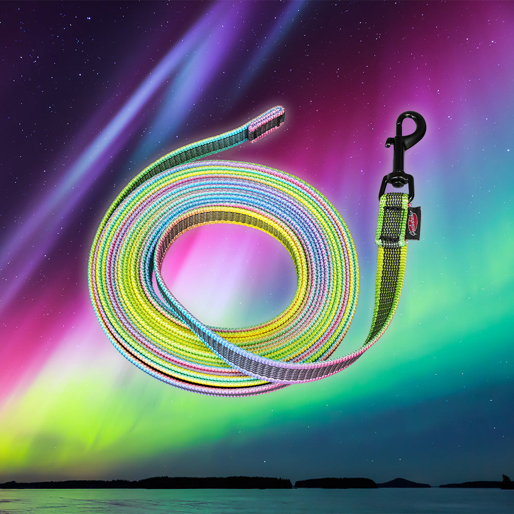 Dog lead drag lead ABS-Mediumflex Aurora