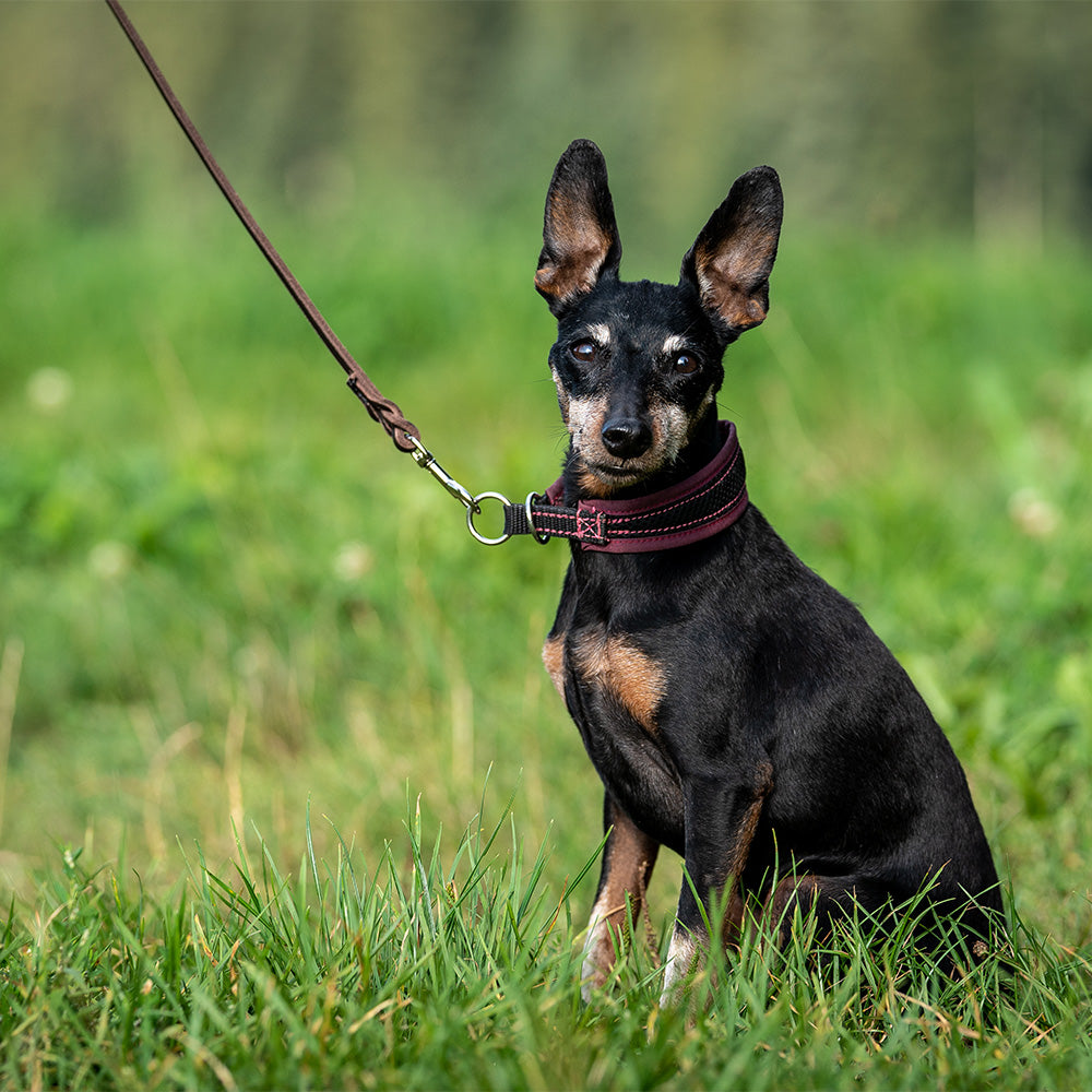 Fat leather drag line