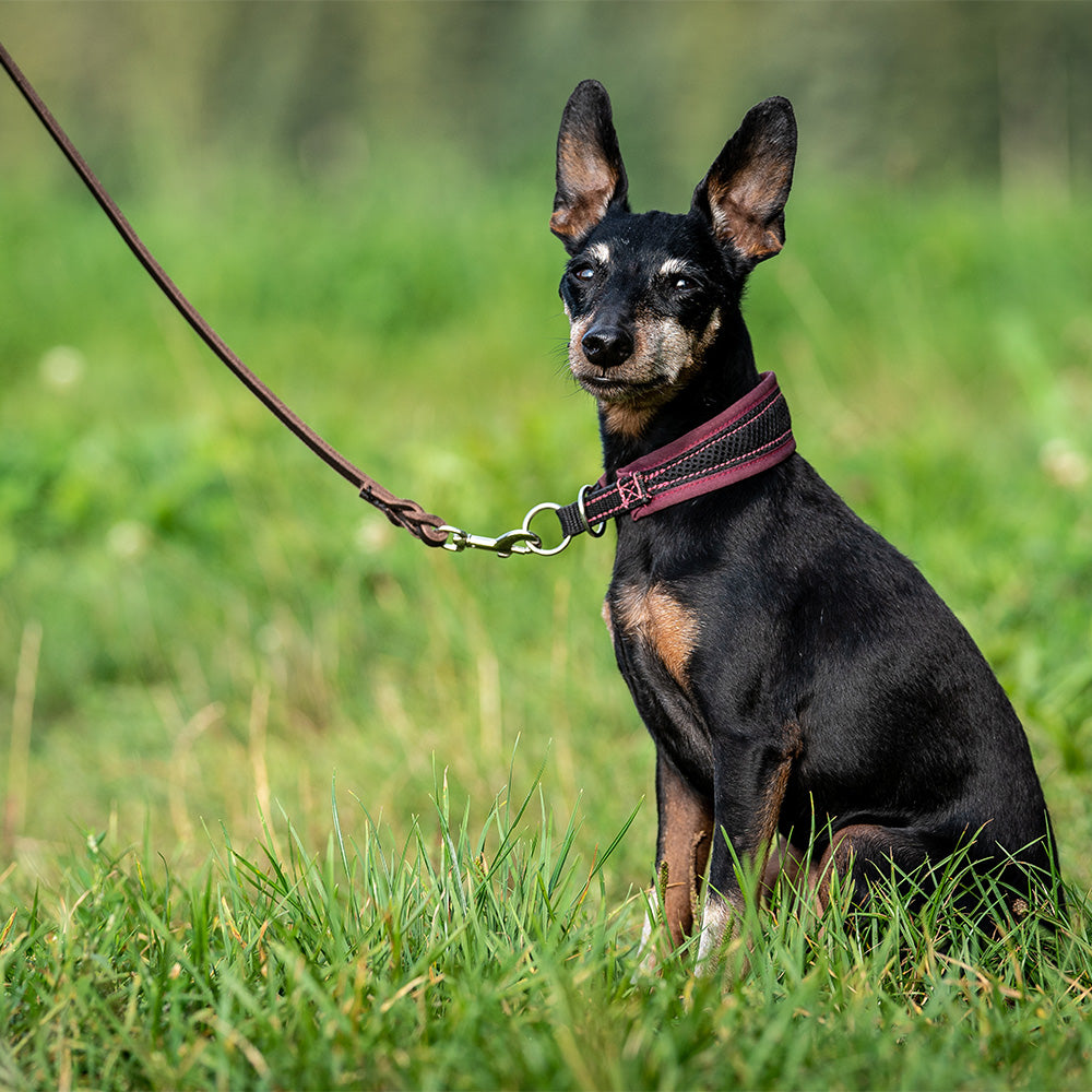 Fat leather drag line