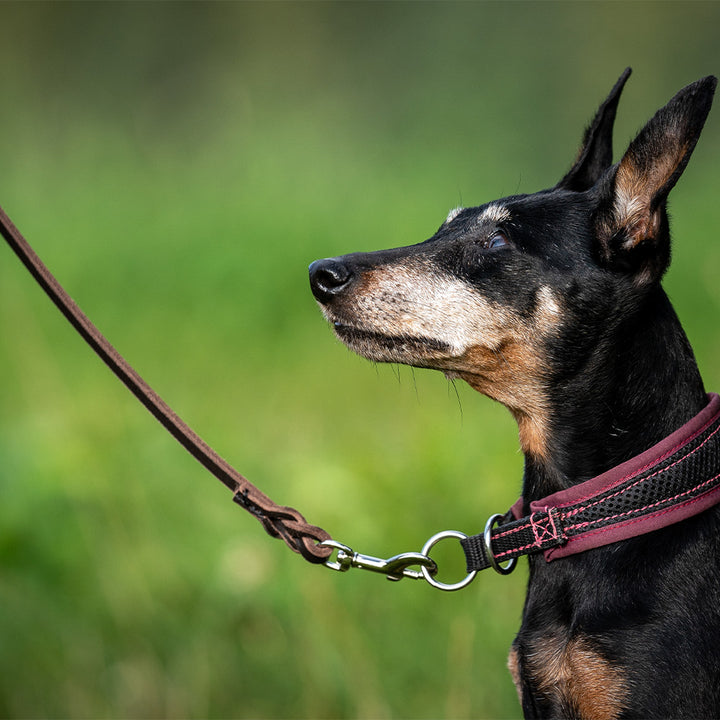 Fat leather drag line