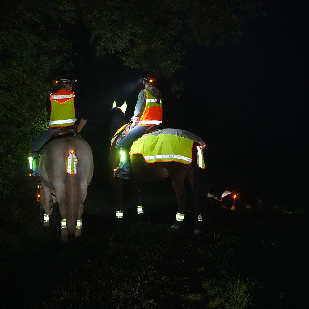 Colorado Tail Light Band