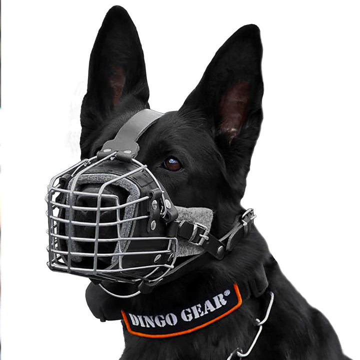 Metal bumper basket - Dingo Gear