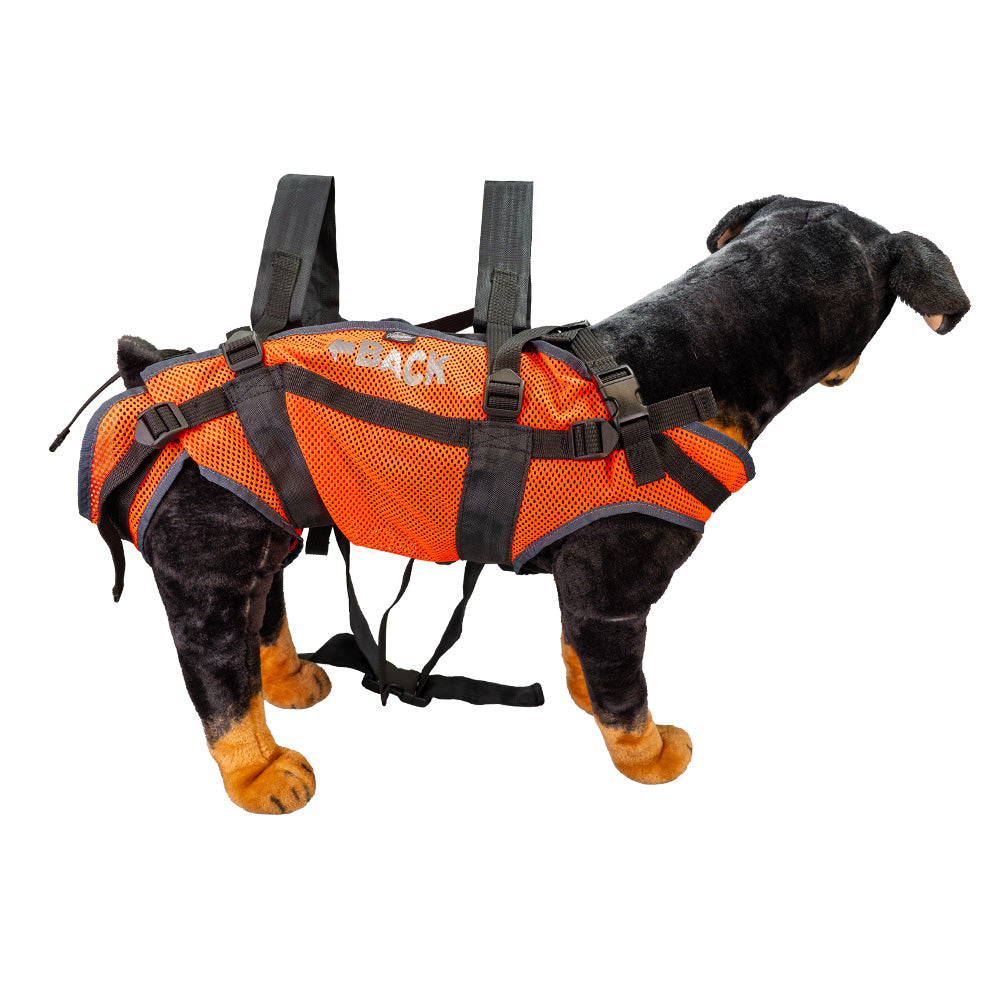 Carrying backpack for dogs, made of air-permeable mesh material and robust straps. Rear view