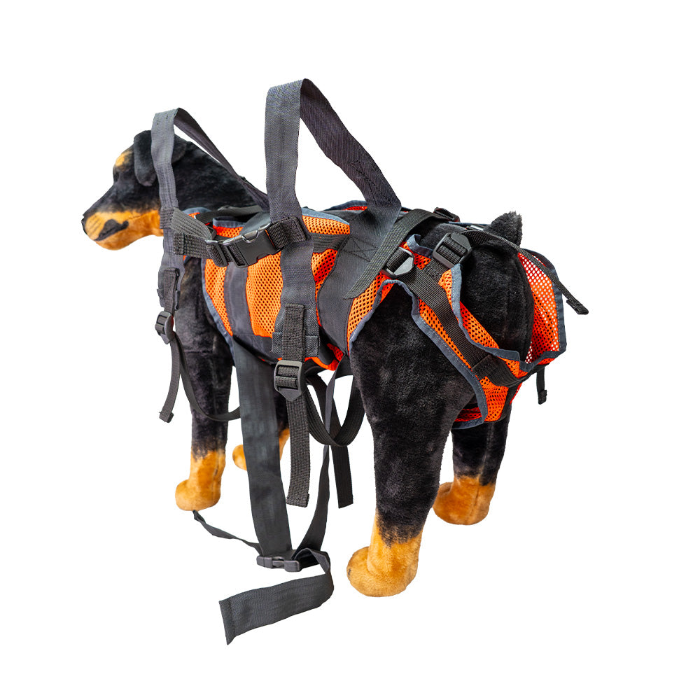 Carrying backpack for dogs, made of air-permeable mesh material and robust straps. Side view