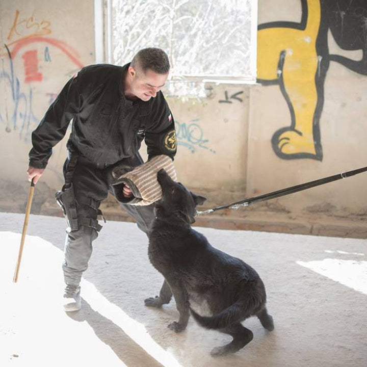 ATOS soft universal training arm - Dingo Gear