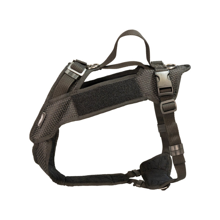 Vary Batch dog harness