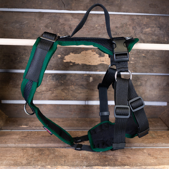 Training harness Vary Proguide special items