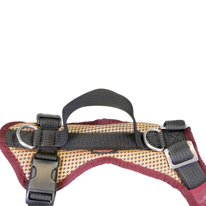 Dog harness for young dogs Vary Standard, freely adjustable. beige-bordeaux, back detail