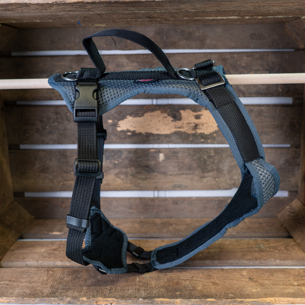 Dog harness Vary special colors, grey-uni, Outlet, Sale