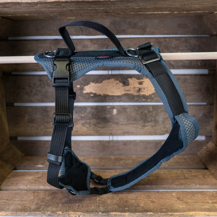 Dog harness Vary special colors, grey-uni, Outlet, Sale