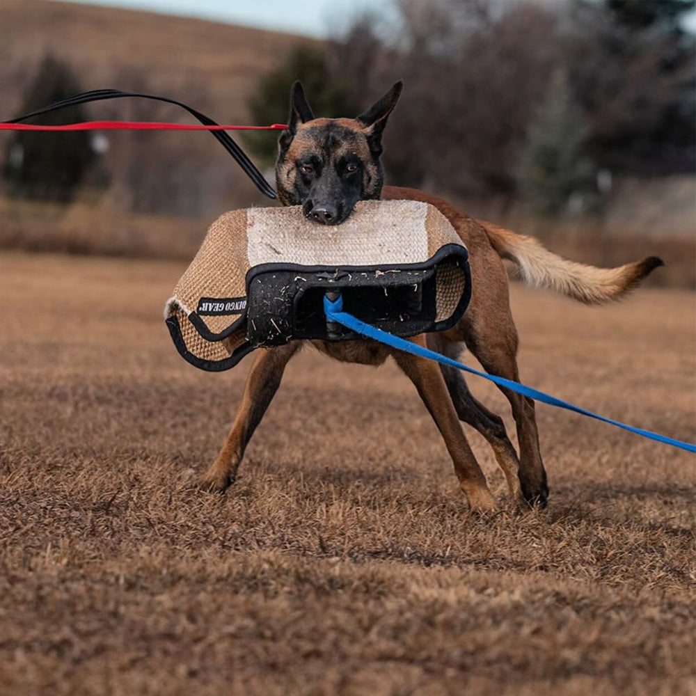 lightweight training arm WOLF - Dingo Gear
