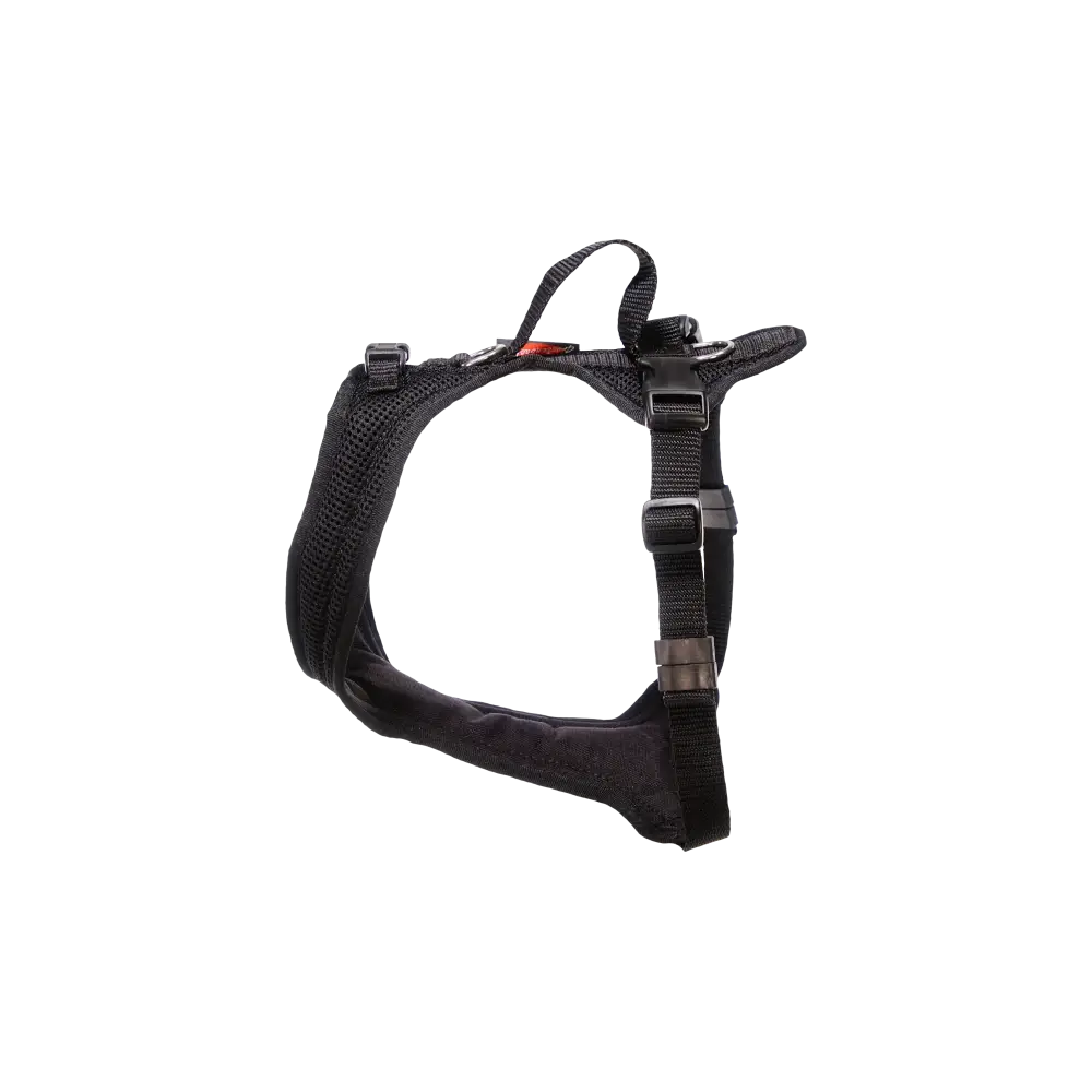 Dog harness Dog`s Fun Run Dog harness Bulldog, black with black edging and buckle at the neck.