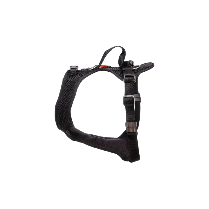 Dog harness Dog`s Fun Run Dog harness Bulldog, black with black edging and buckle at the neck.