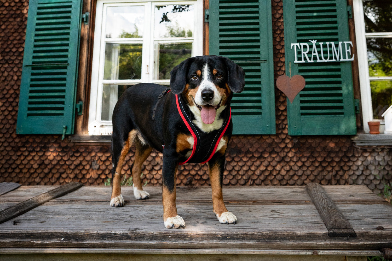 Tradition suisse - voyager avec style