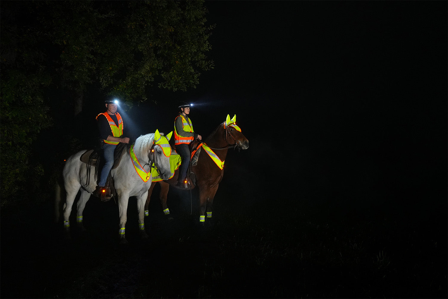 Articles lumineux pour les promenades à cheval