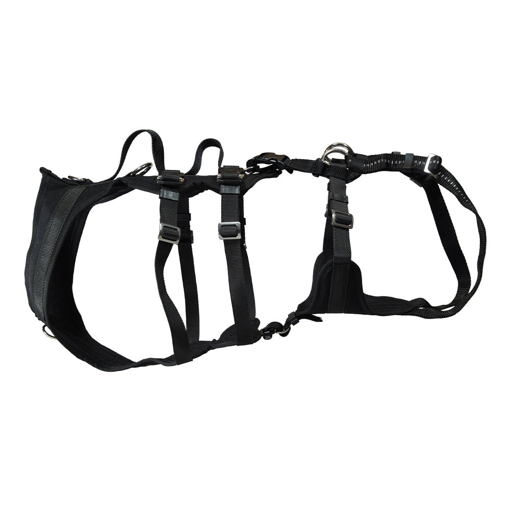 Couverture d'identification/harnais pour chiens d'assistance, chiens de sauvetage, police, armée, etc.