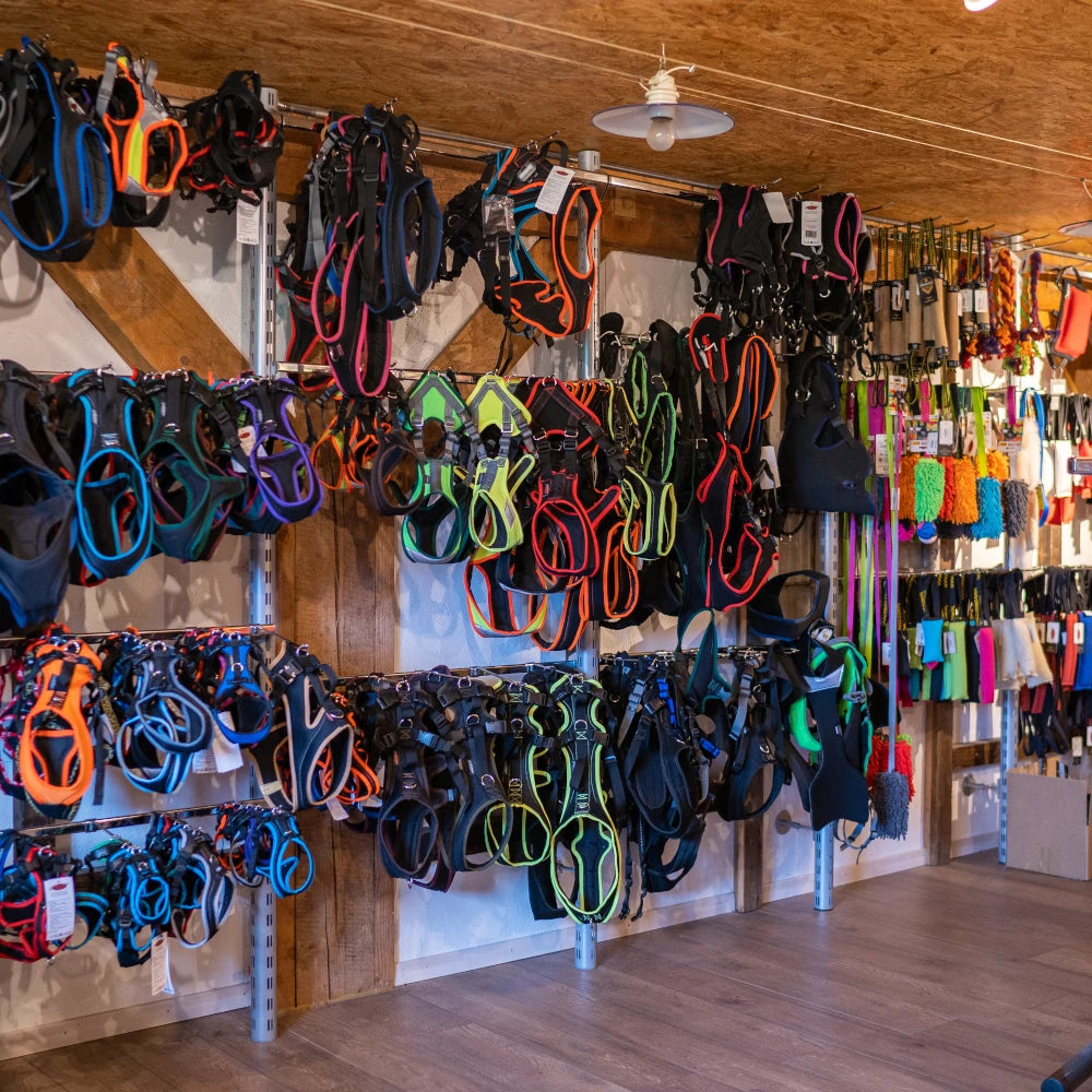 Assortiment Diversité