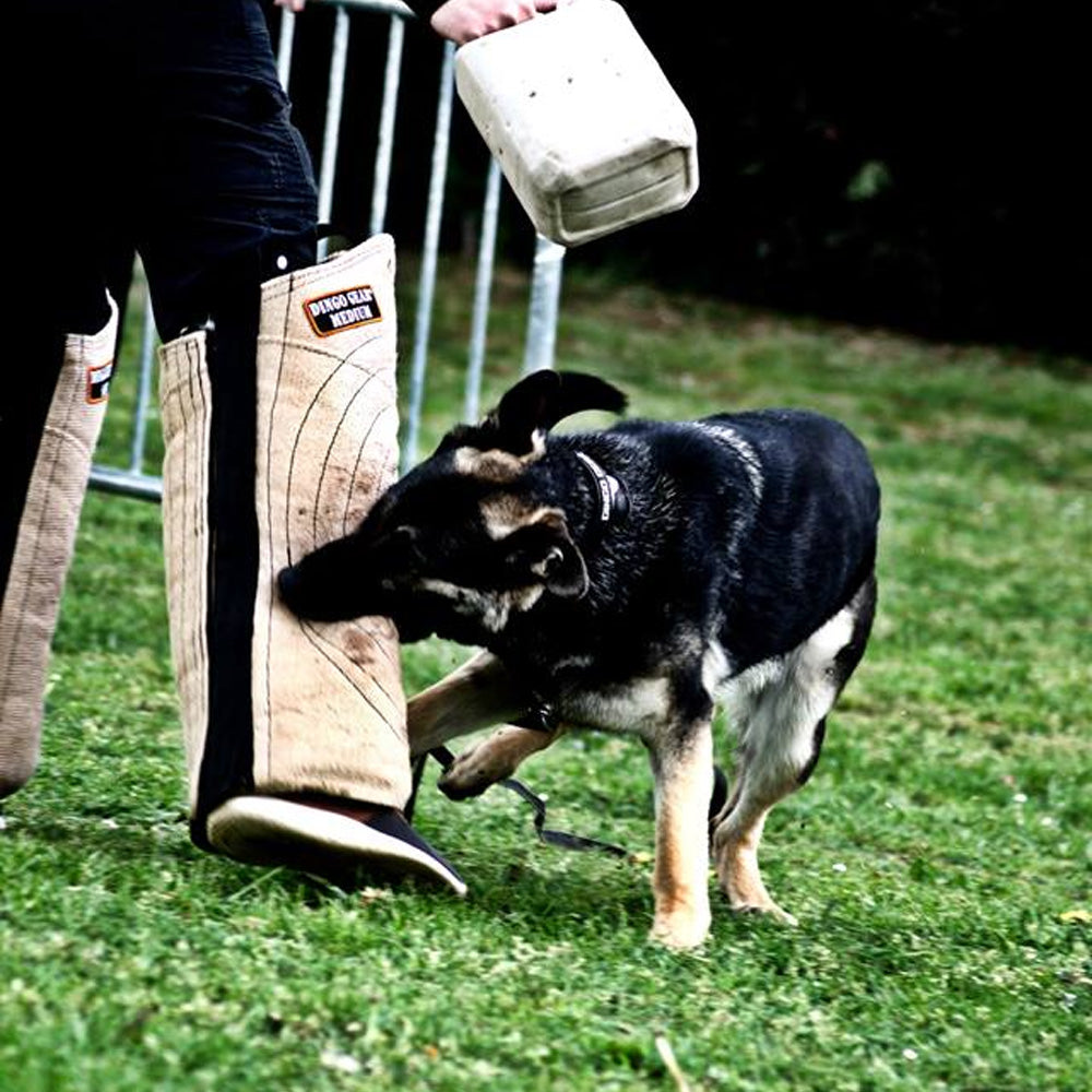 Brassard de jambe long MEDIUM - Dingo Gear