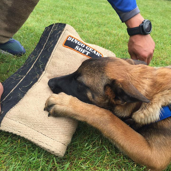 Manchette de jambe longue SOFT - Dingo Gear