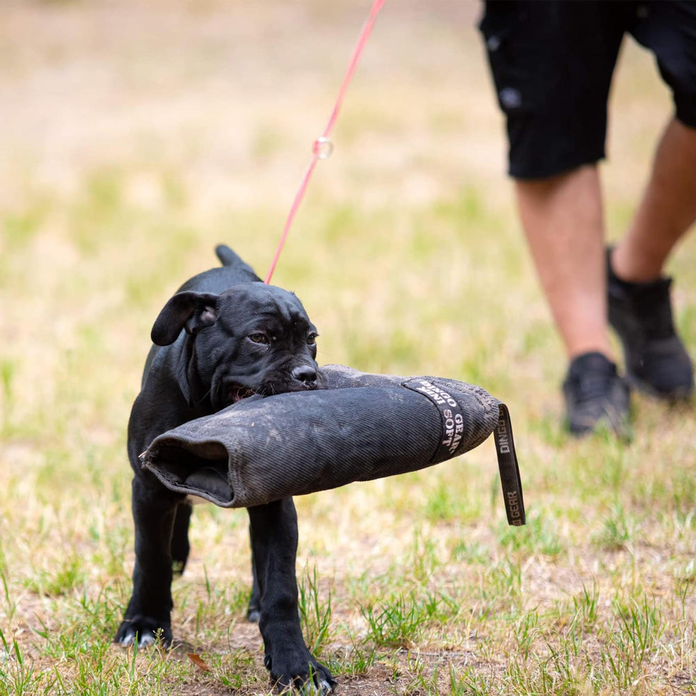 Bras de morsure EXTERN mini soft - Dingo Gear