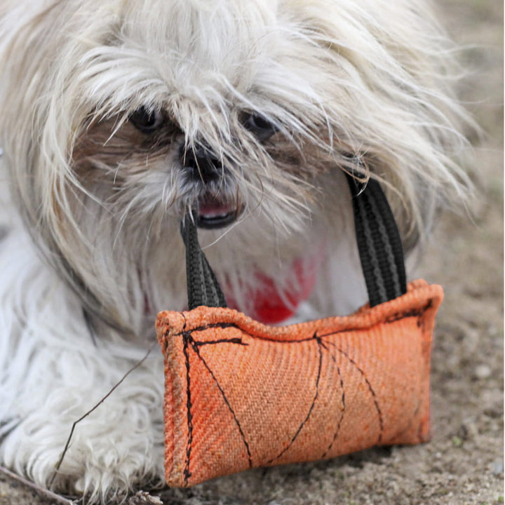 Jouet de dentition PICCOLO Nylcot - Dingo Gear