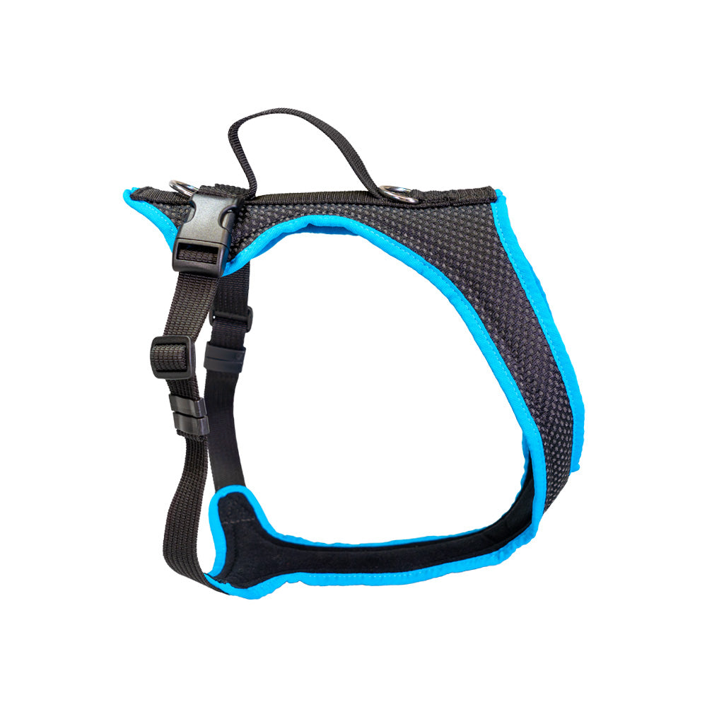 Dog`s Fun Run harnais pour chien standard, noir-turquoise. fabriqué en Suisse