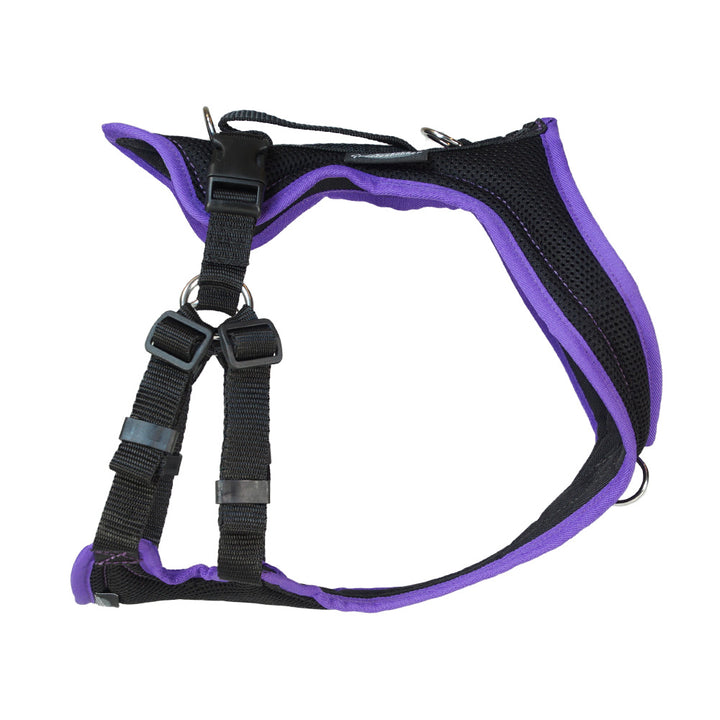 Harnais de formation Dog`s Fun Run PROGuide, noir avec liseré violet.
