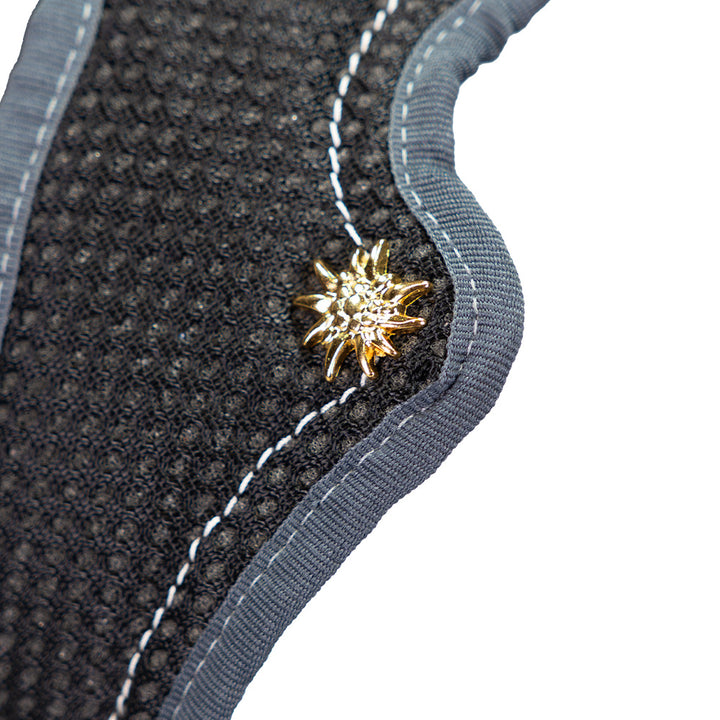 Dog`s Fun Run SWISS Edition