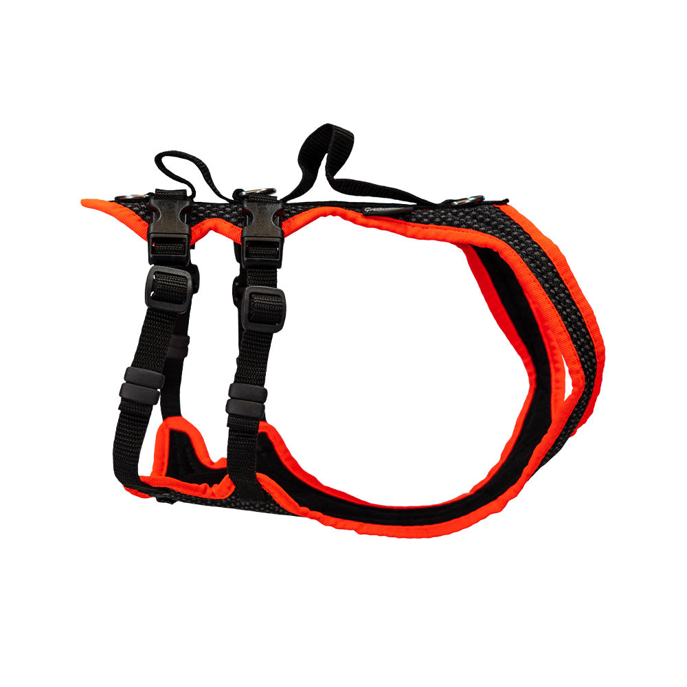 Harnais pour chien Dogs Fun Run Support, pour la marche et le soutien, noir-orange vif.