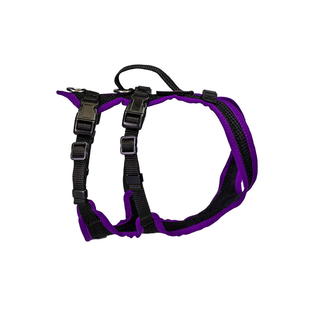 Harnais pour chien Dogs Fun Run Support, pour la marche et le soutien, noir-violet.