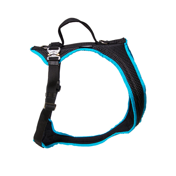 harnais pour chien Dog`s Fun Run harnais de sécurité pour voiture Travel, pour le transport en voiture. noir-turquoise