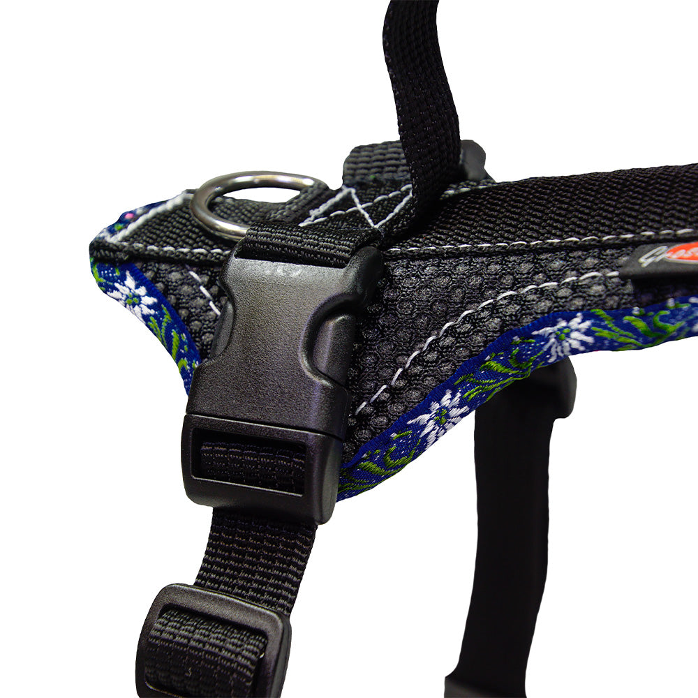 Harnais Grossenbacher Dog`s Fun Run Edelweiss bleu royal