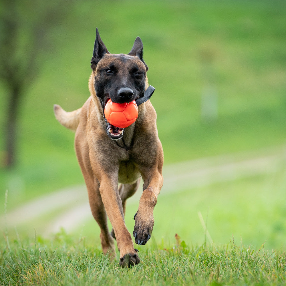 Softball en cuir Eco