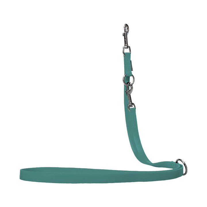 Laisse de chien Biothane turquoise