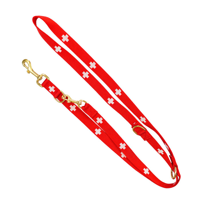 Dog`s Fun Run SWISS Edition