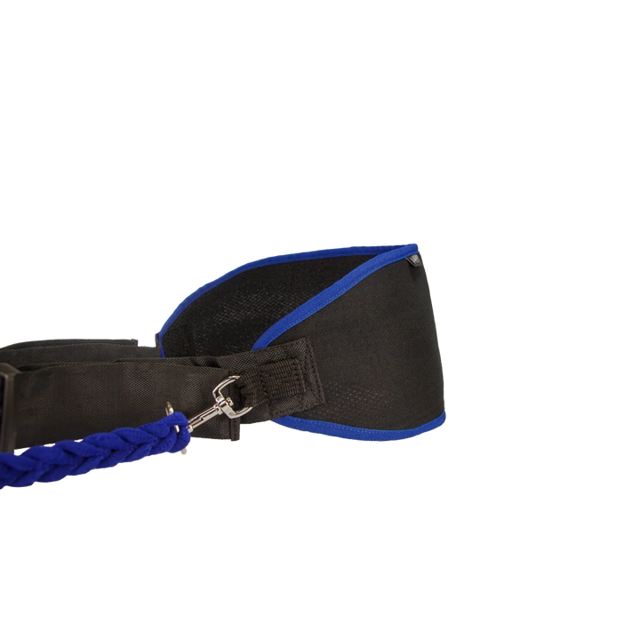 Ceinture de jogging Profirun