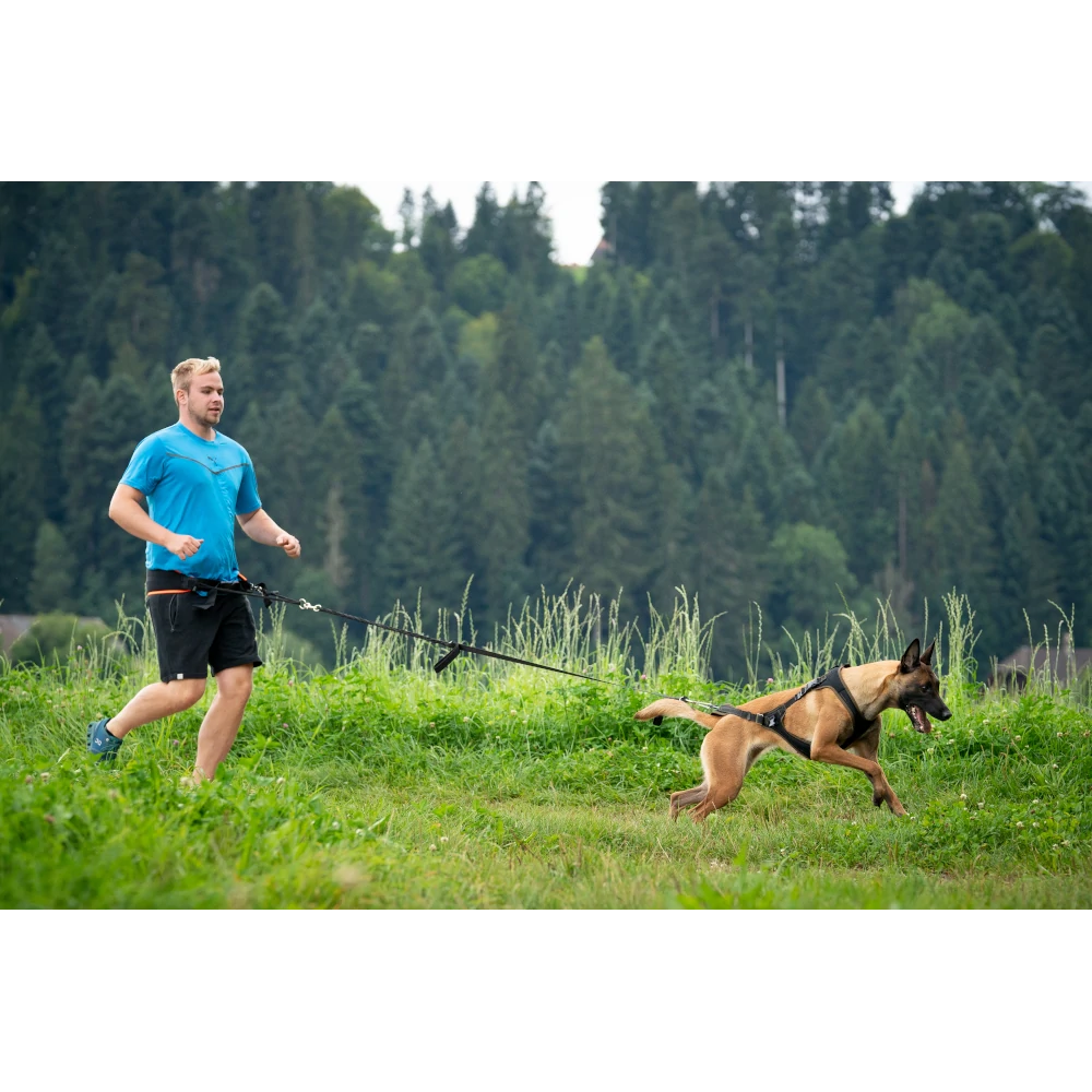 Ceinture de jogging Profirun
